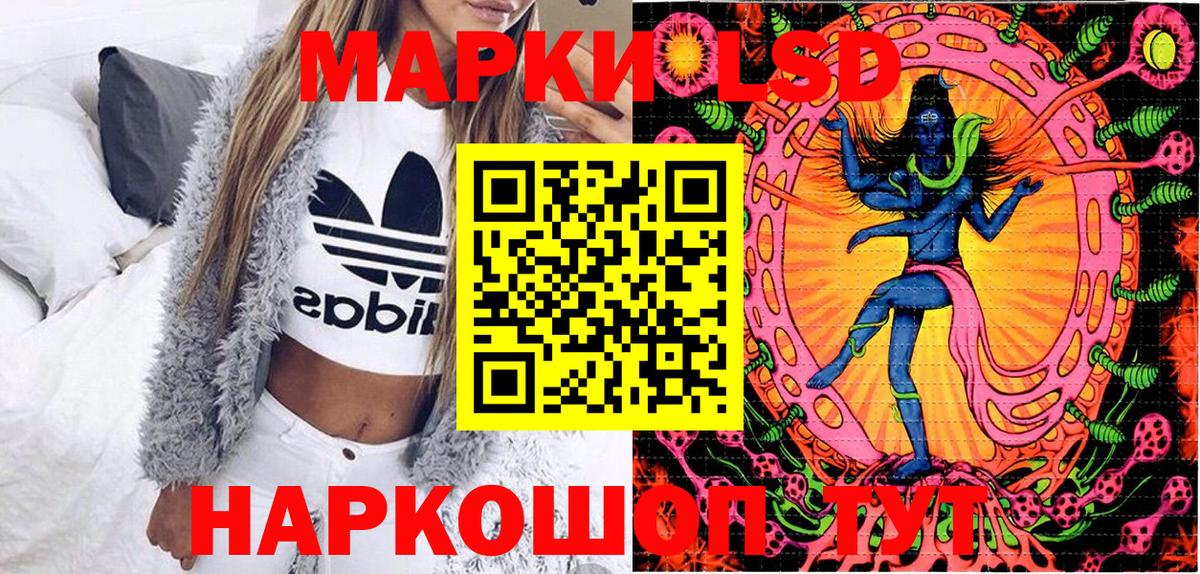 Марки NBOMe 1500мкг  Марки NBOMe 1500мкг  Вход с VPN  Лесной 