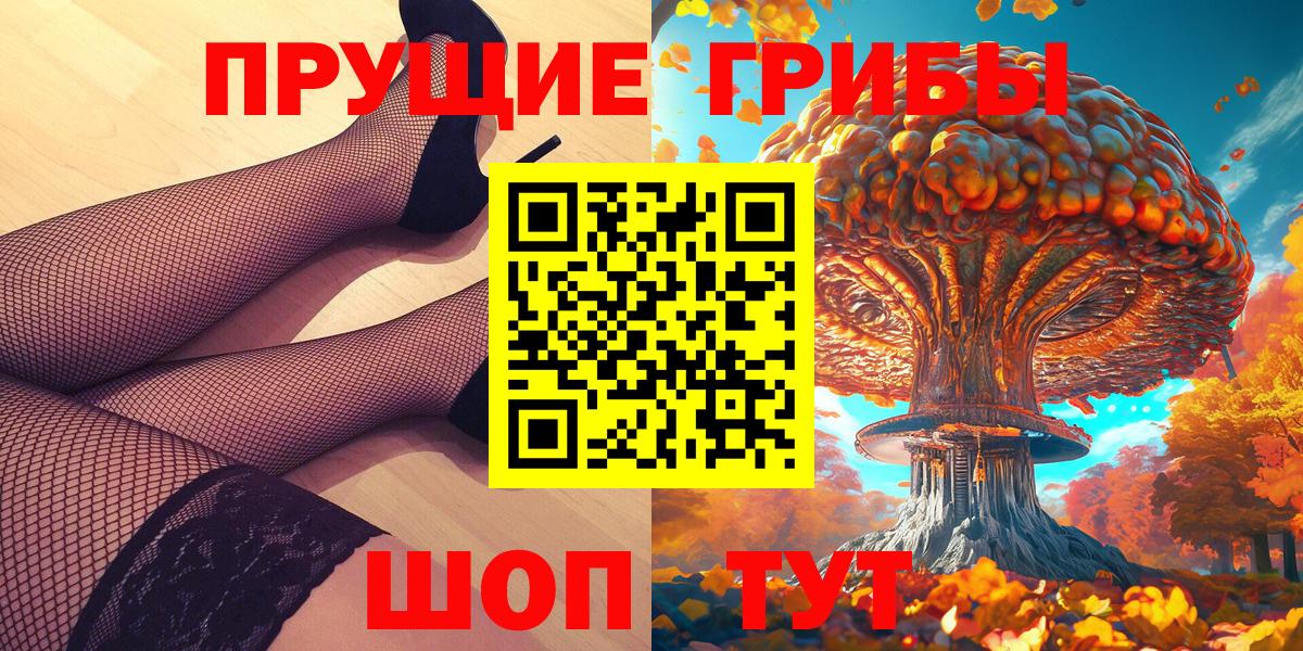 Псилоцибиновые грибы мицелий Лесной