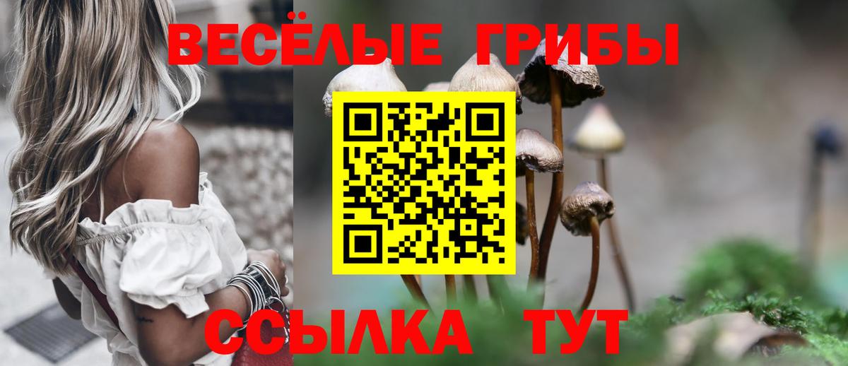 Лесной  Галлюциногенные грибы Cubensis  Вход с VPN 